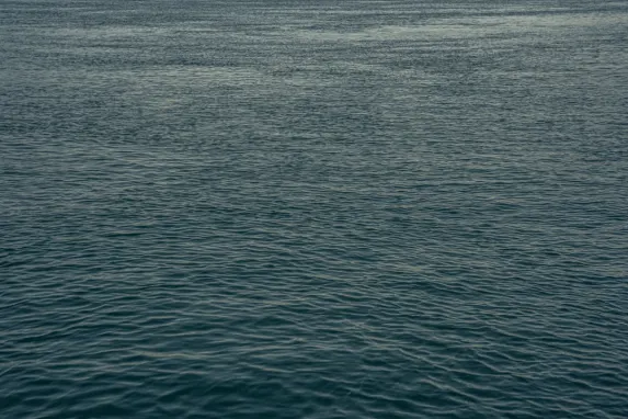 카지노 잭팟 몰리 지원